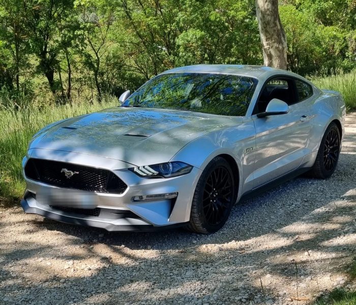 343939975_1403370216908051_8555860156141764504_n